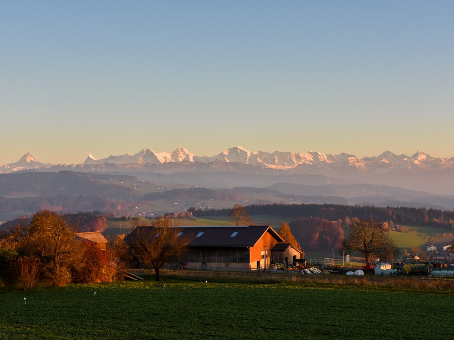 Ganz nah an der Stadt, die Alpen im Blick. Foto: Alexandra Blatter