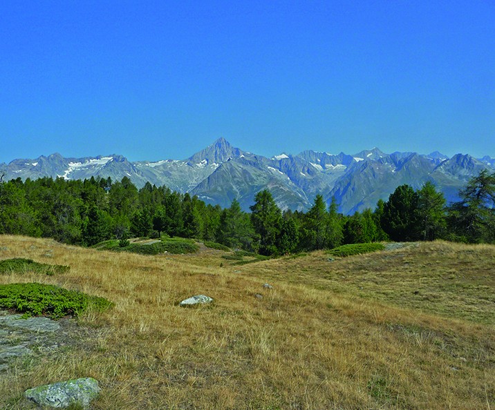Auf dem Stand mit Blick auf die 4000er der Walliser Alpen. Bilder: Werner Forrer