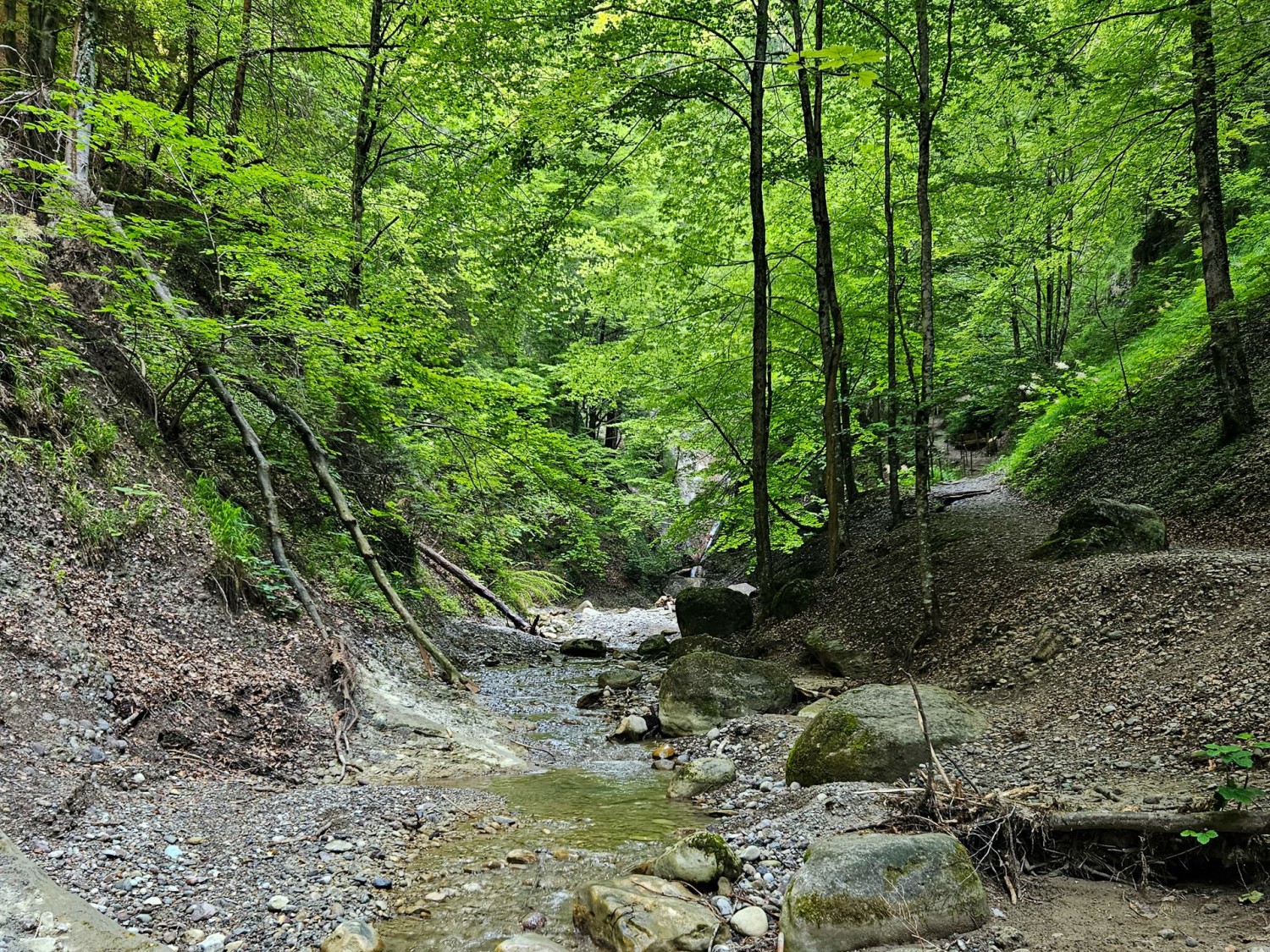 La rivière Hünibach serpente dans les gorges de Choleren.