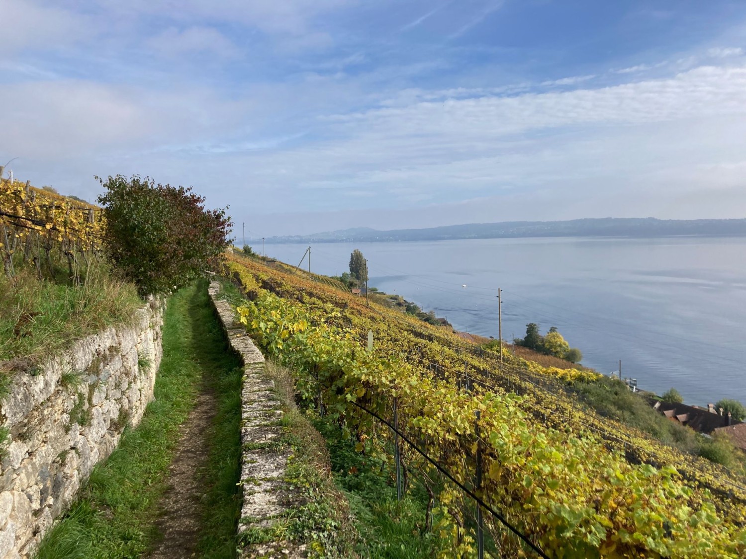 Auf dem Pilgerweg Via Jacobi durch die Rebberge