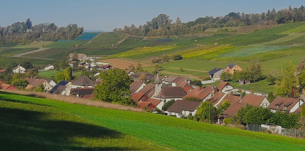 Blick auf Osterfingen