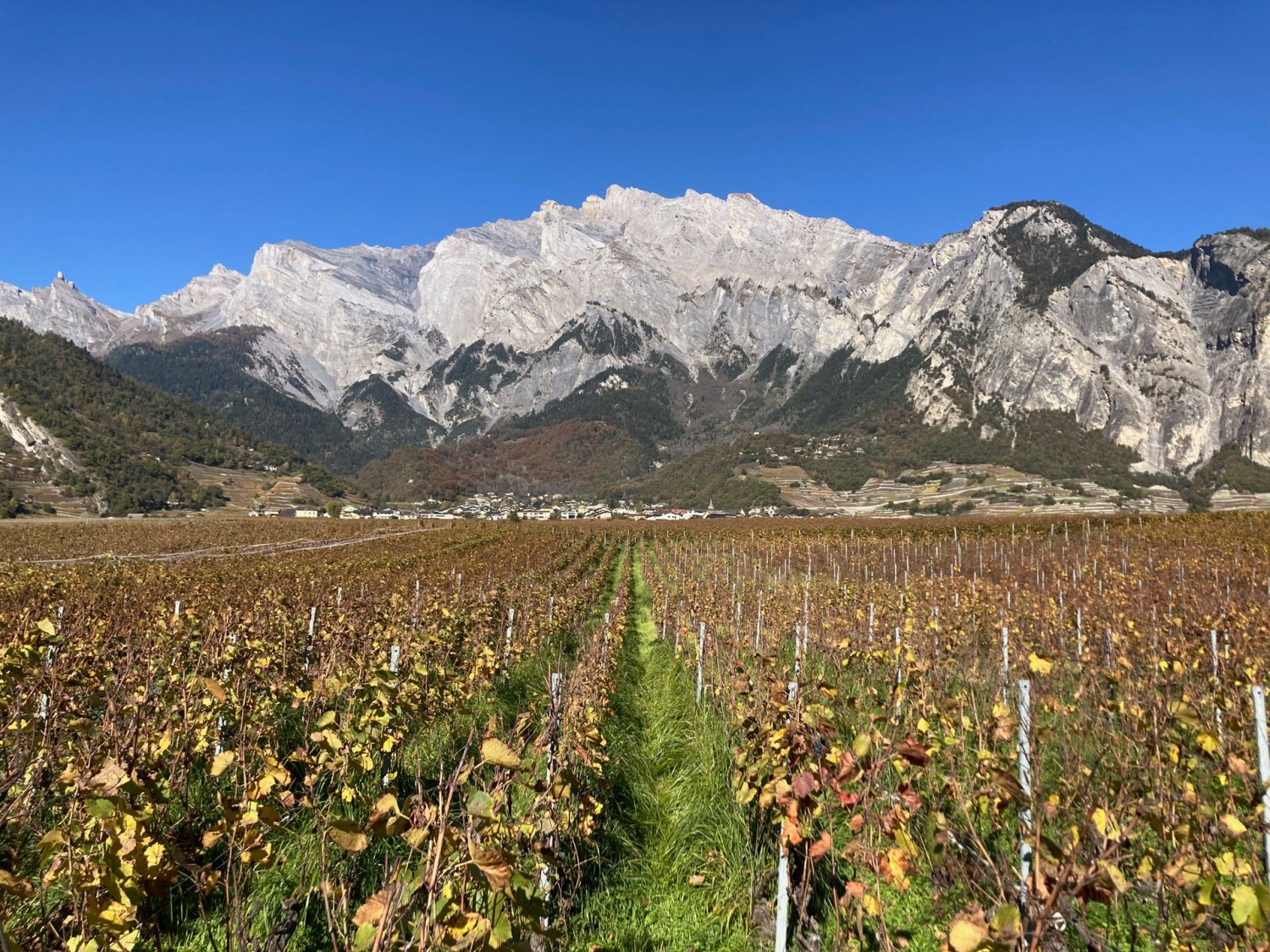Chamoson am Fuss des Haut de Cry