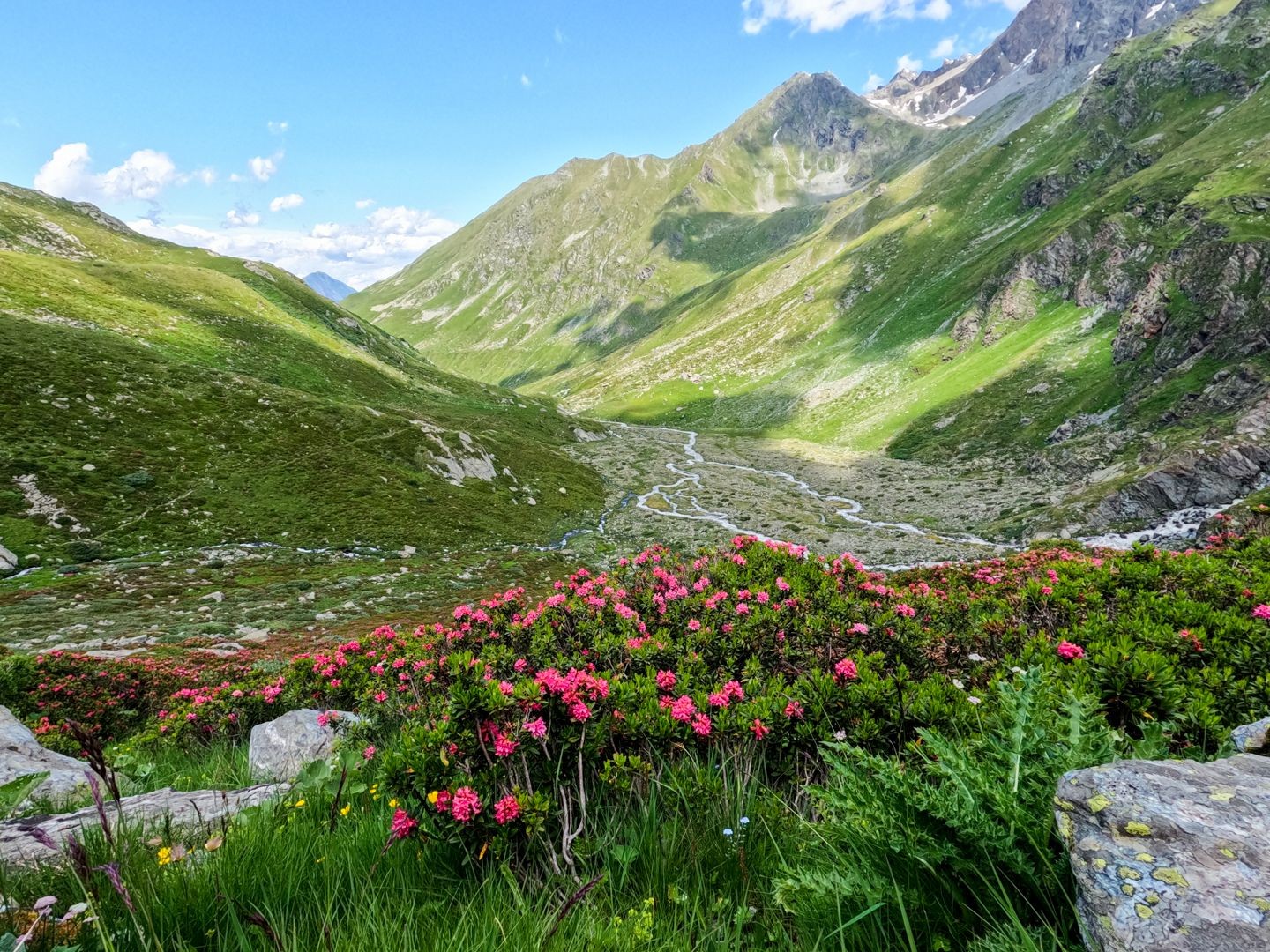 Regard en arrière sur le vallon de Valsorey.