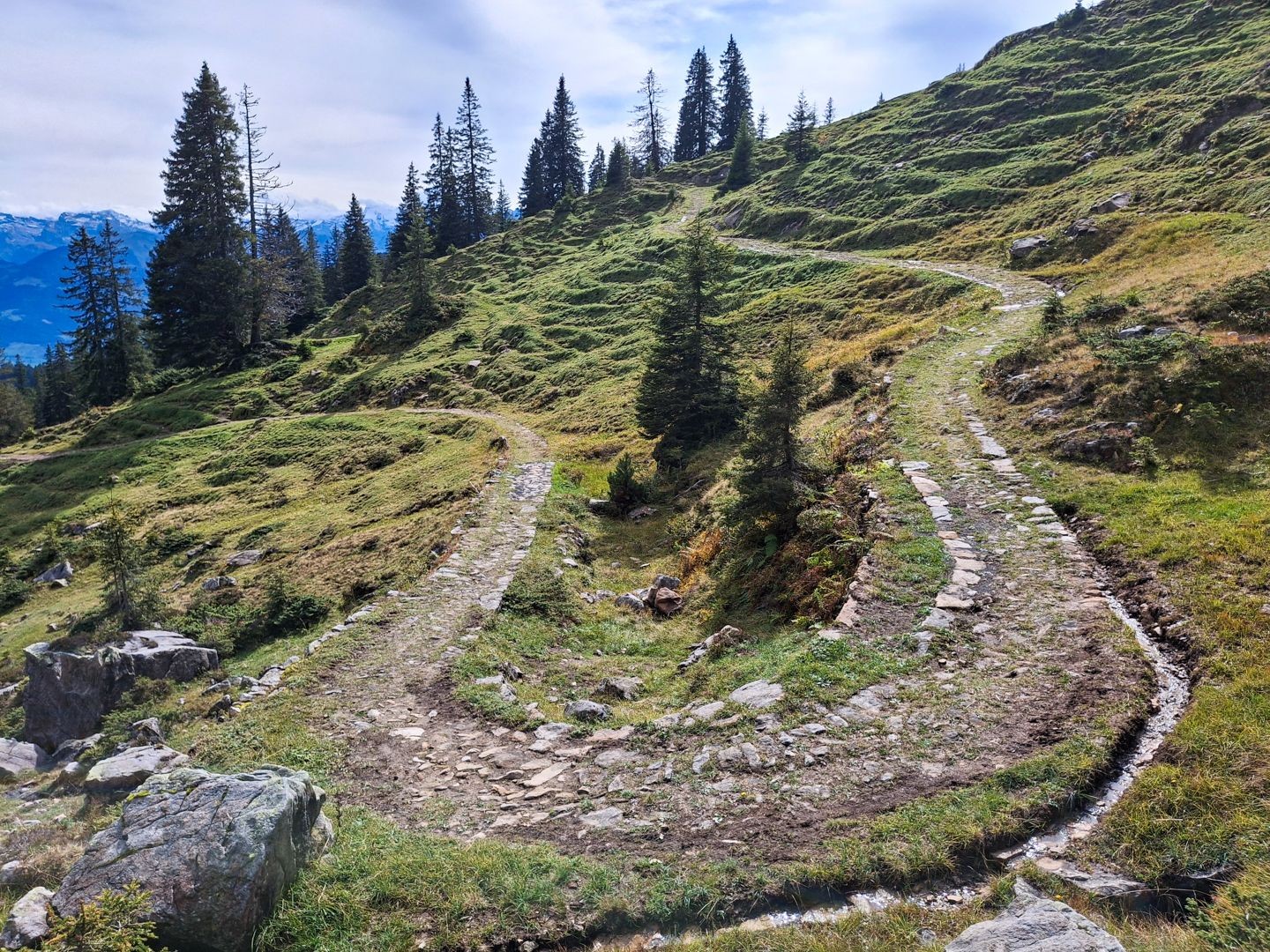 Le Polenweg est un exemple remarquable de l’ancien art de la construction des chemins.