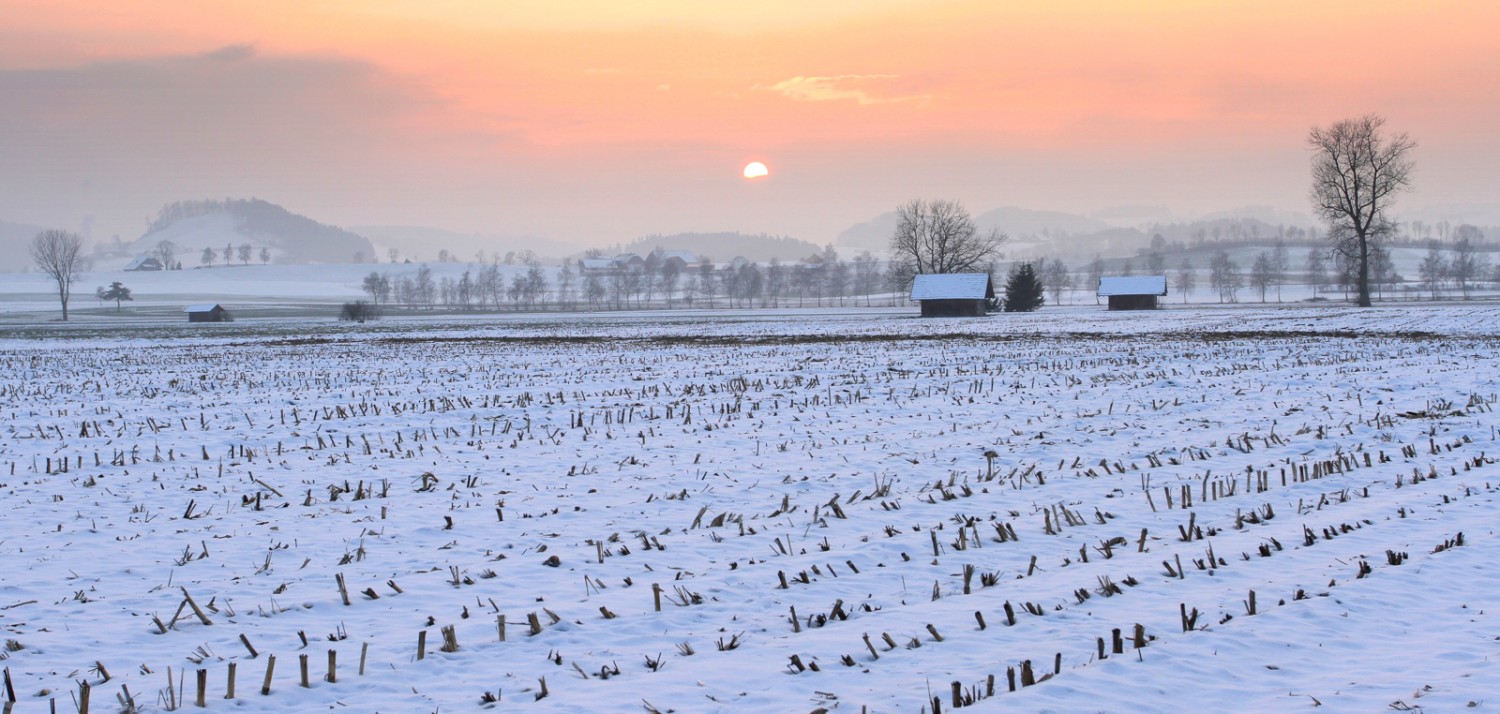 Le Wauwilermoos: l’ancien lac est une réserve naturelle. Photo: Priska Ziswiler.