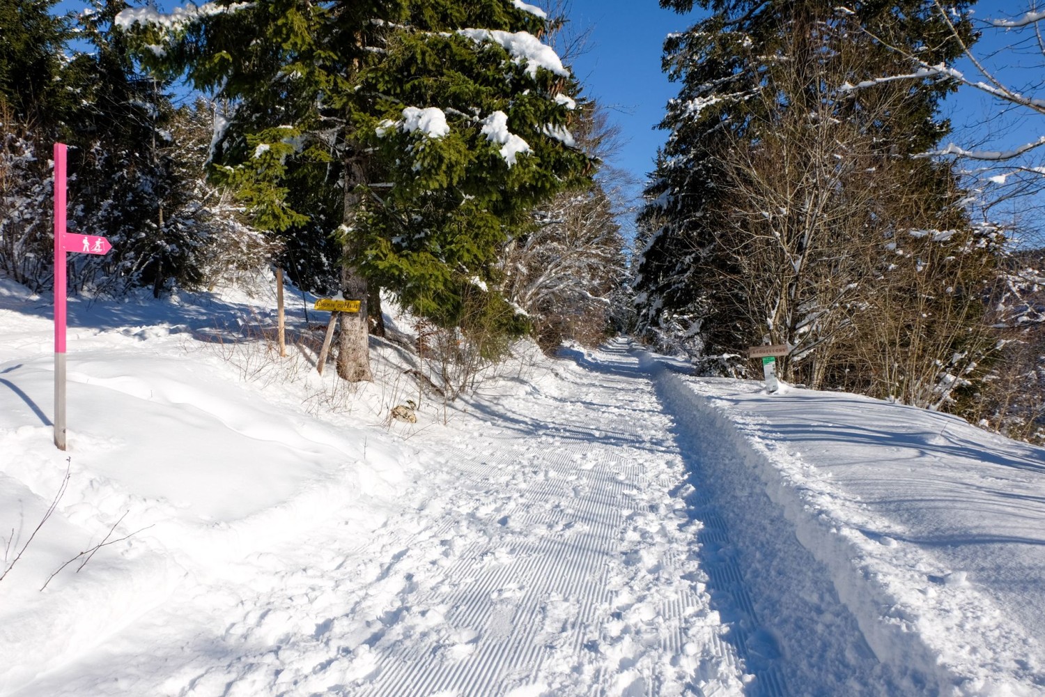 Zu Beginn teilt man sich den Weg mit Schneeschuhwandernden.
