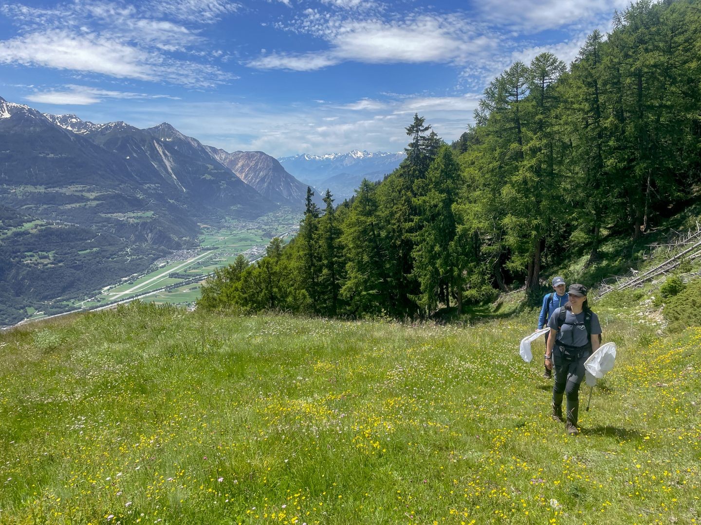Vue sur la vallée du Rhône avec l’Illgraben en arrière-plan