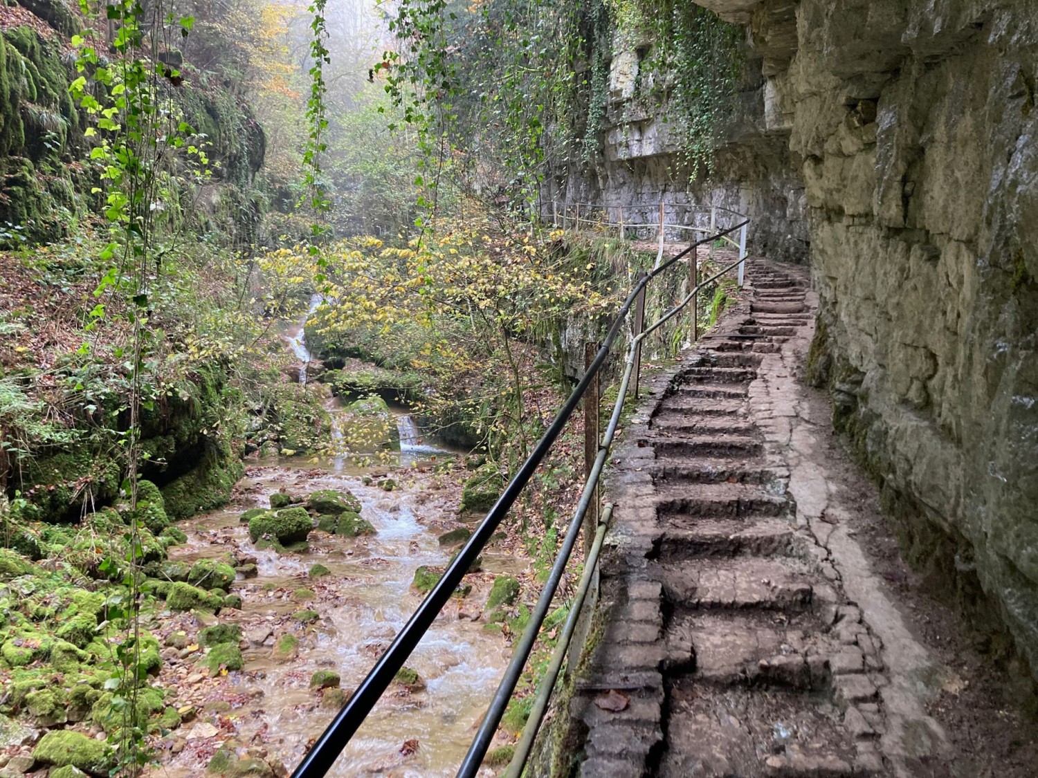 In der Twannbachschlucht