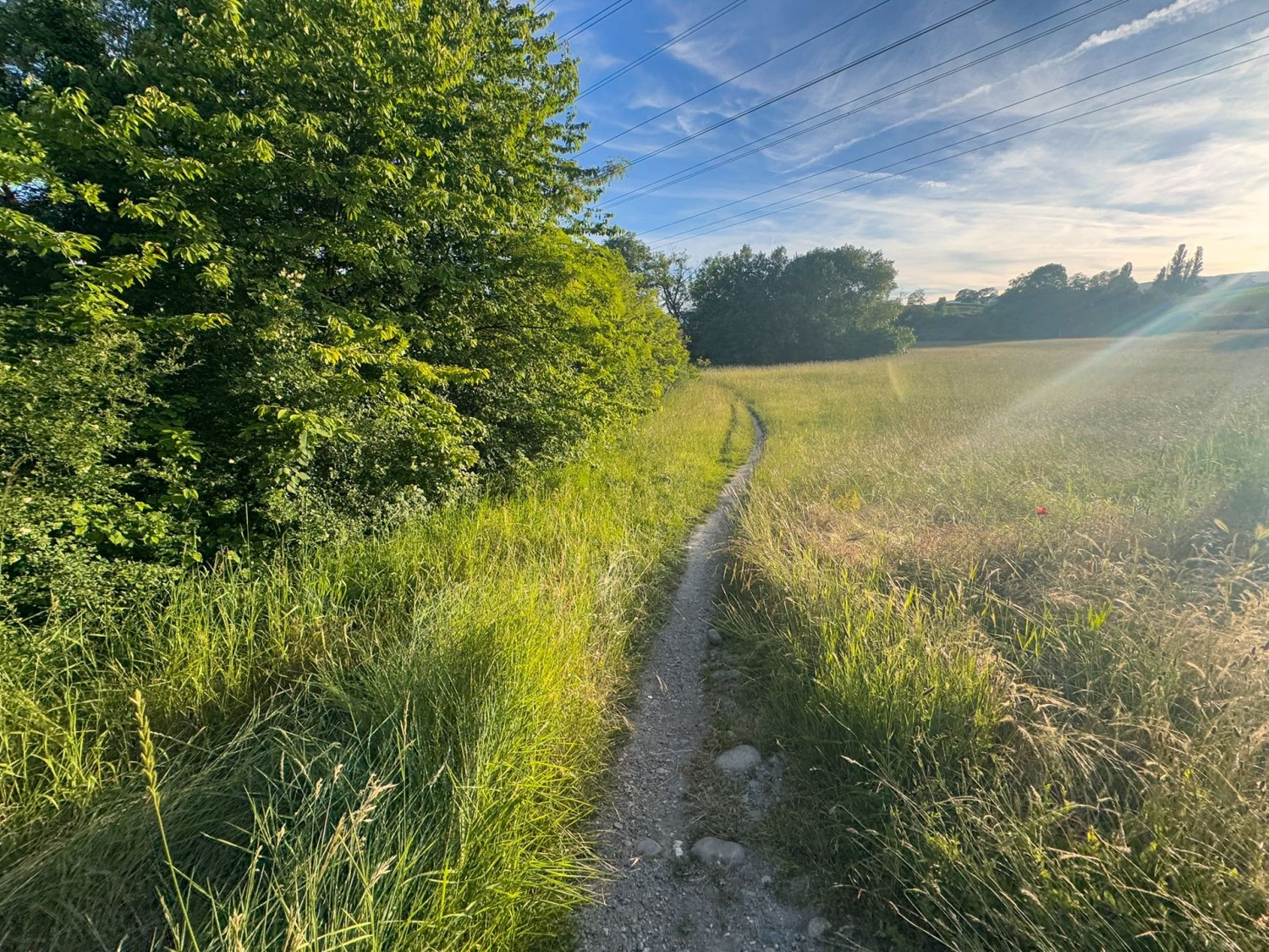 Poco dopo Russin si prosegue dapprima nella natura.