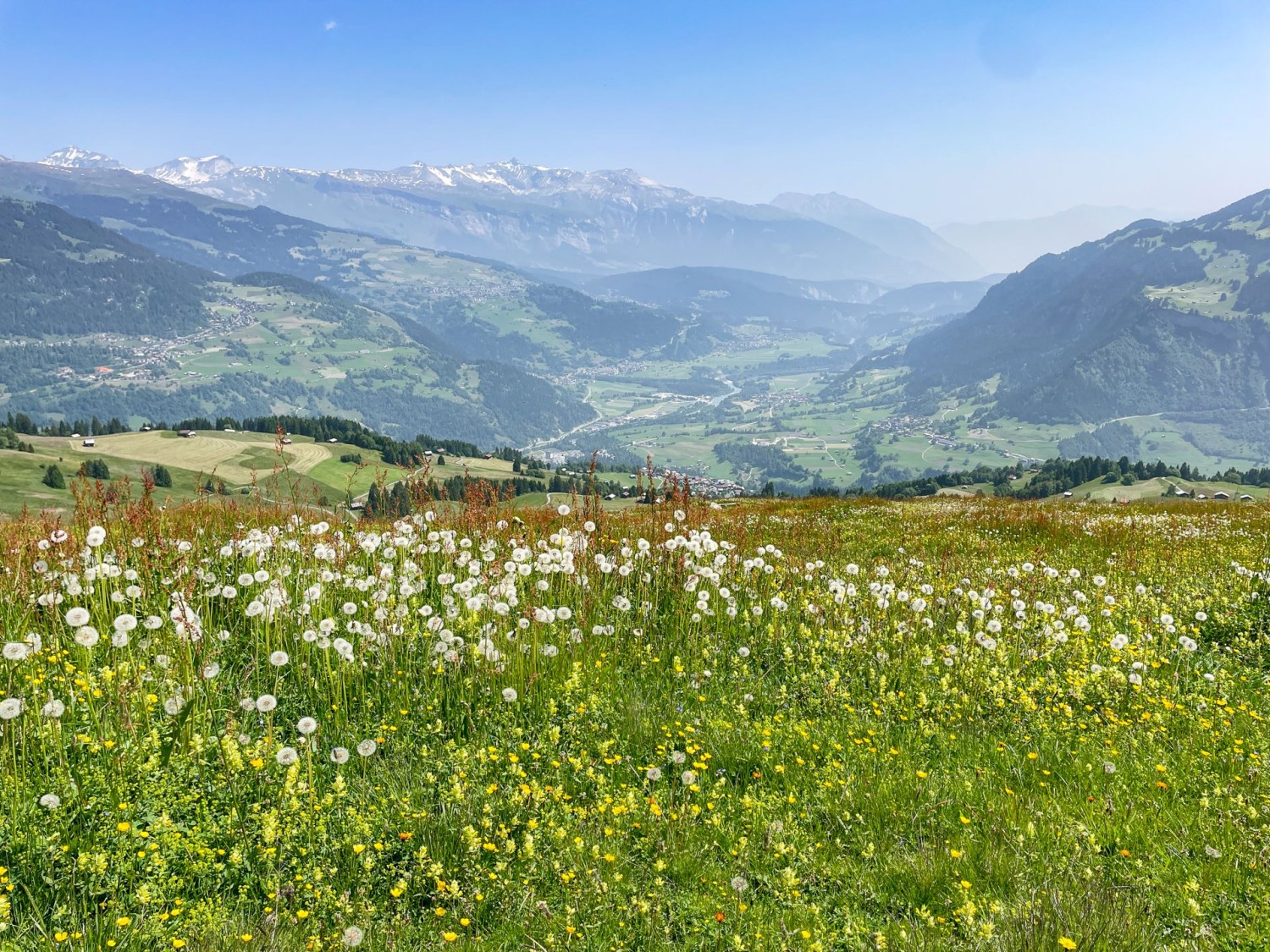 Von der Bündner Rigi aus liegt einem die Surselva zu Füssen.