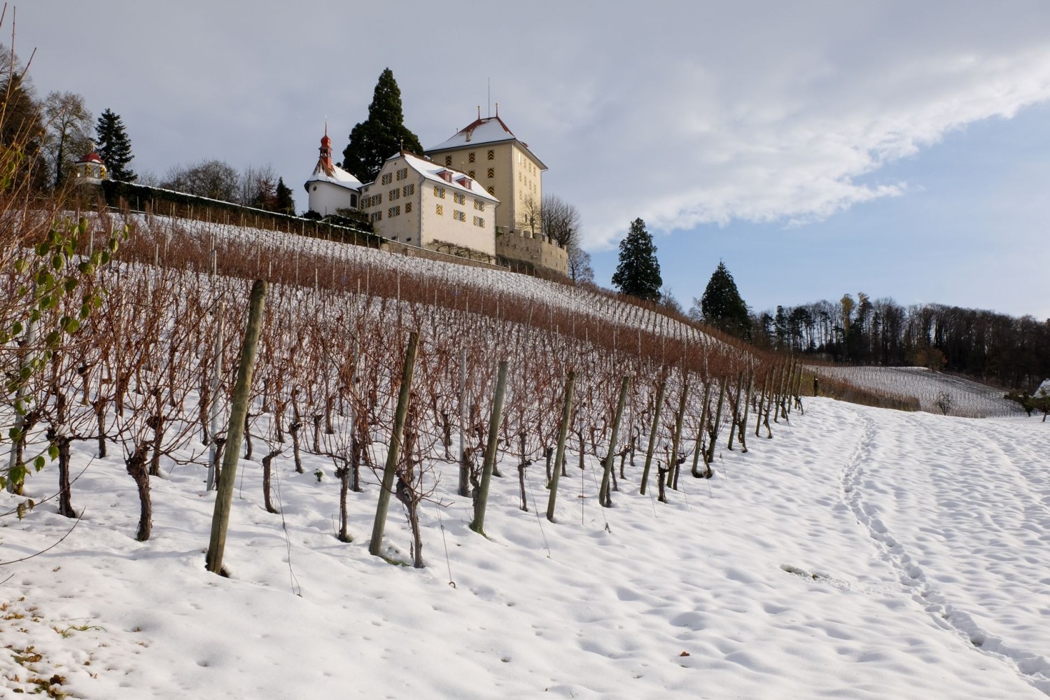 Das Schloss Heidegg mit seinem Rebberg ist auch im Winter ein lohnendes Wanderziel.