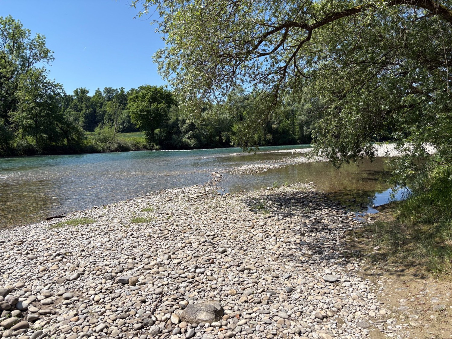 Beaucoup d’alluvions s’accumulent dans la courbure de la Reuss. Le gravier a été utilisé pour construire le barrage de la Reuss.