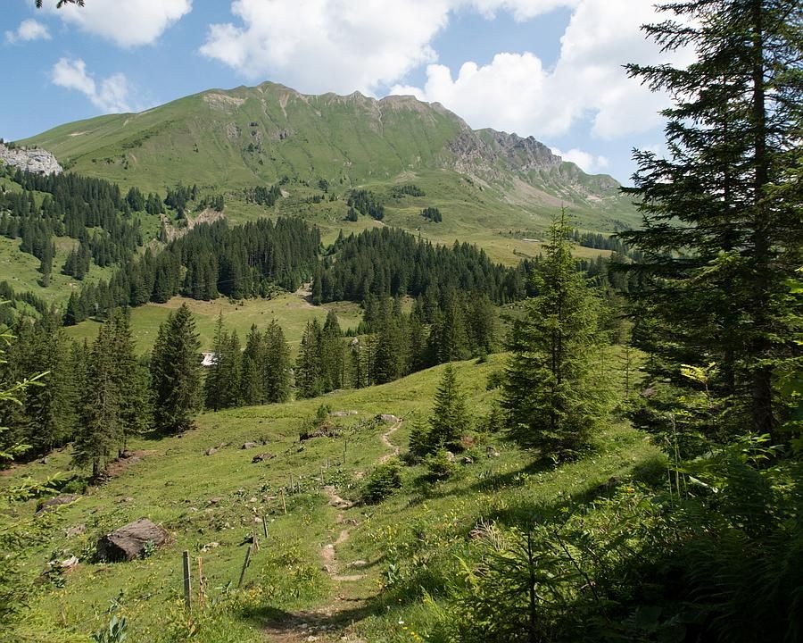 Foto: Fabian Béboux, FotoPate SchweizMobil