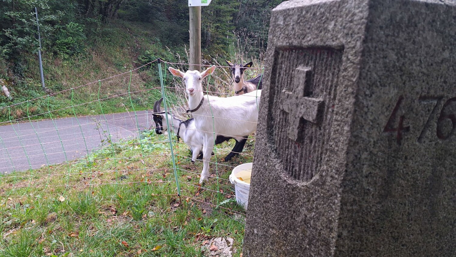 Einer der vielen Grenzsteine entlang der Grenze zu Frankreich.