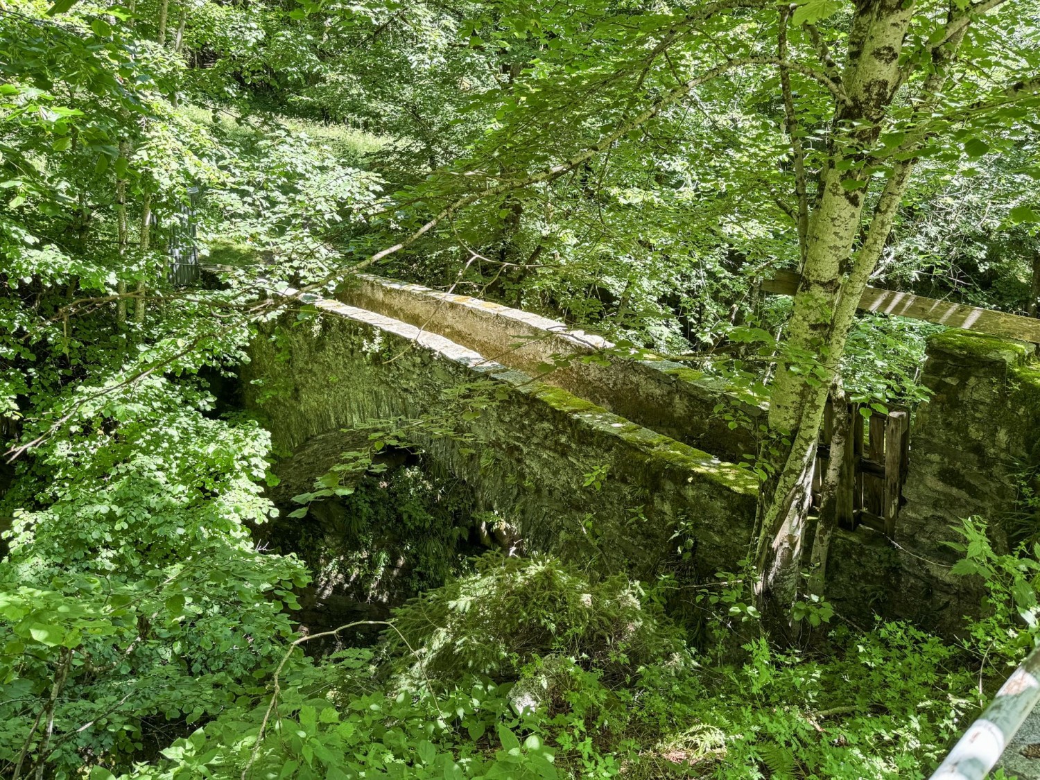 Alte Steinbrücke über die Rovana di Campo