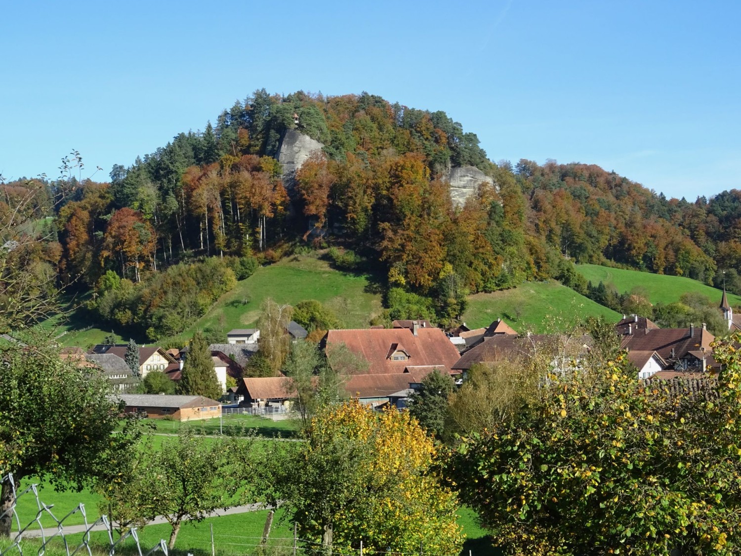 Sandsteinfelsen bei Krauchthal lieferten Baumaterial fürs Berner Münster.