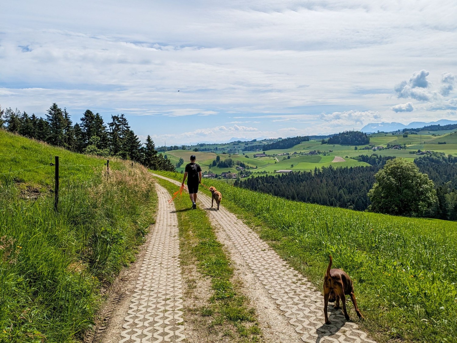 Un’escursione con veduta panoramica nell’Emmental.