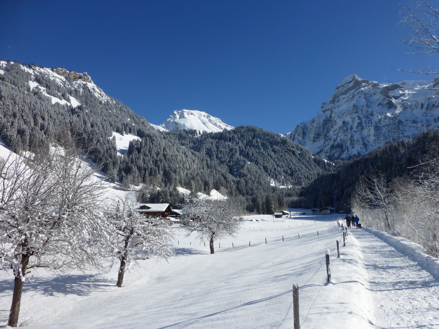 Sur le chemin des berges de la Simme, vue sur le Wildstrubel en direction de la vallée