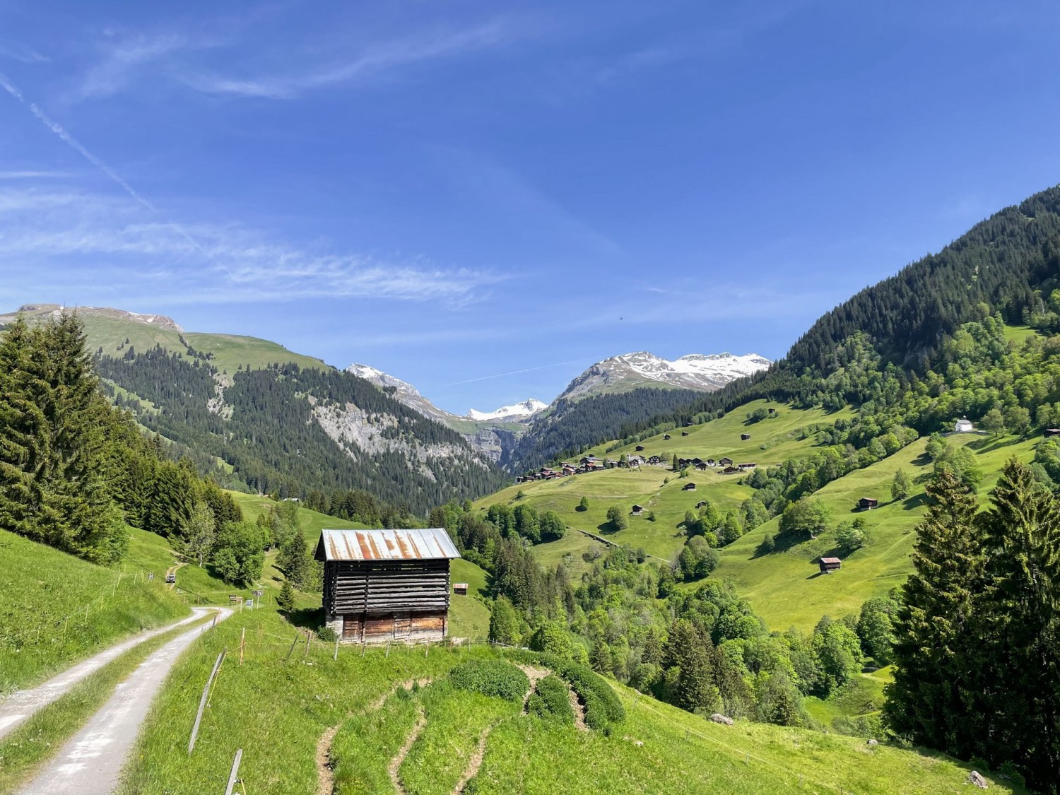 Il sentiero in direzione del Lag da Pigniu.