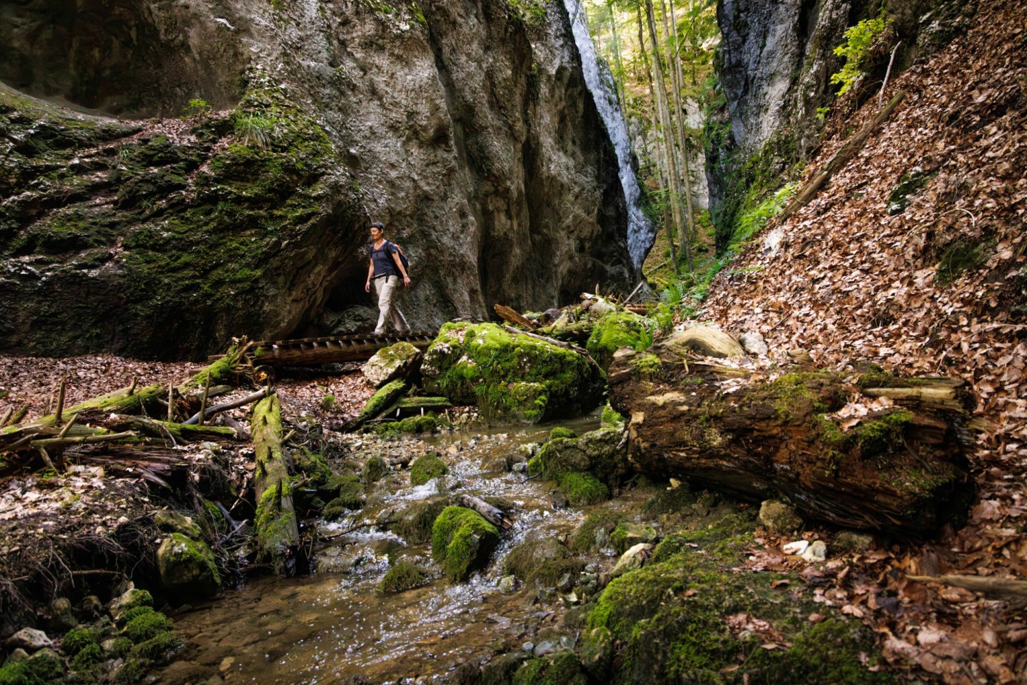 In der Wolfsschlucht ist es meist steil – dieser Abschnitt ist eine Ausnahme.