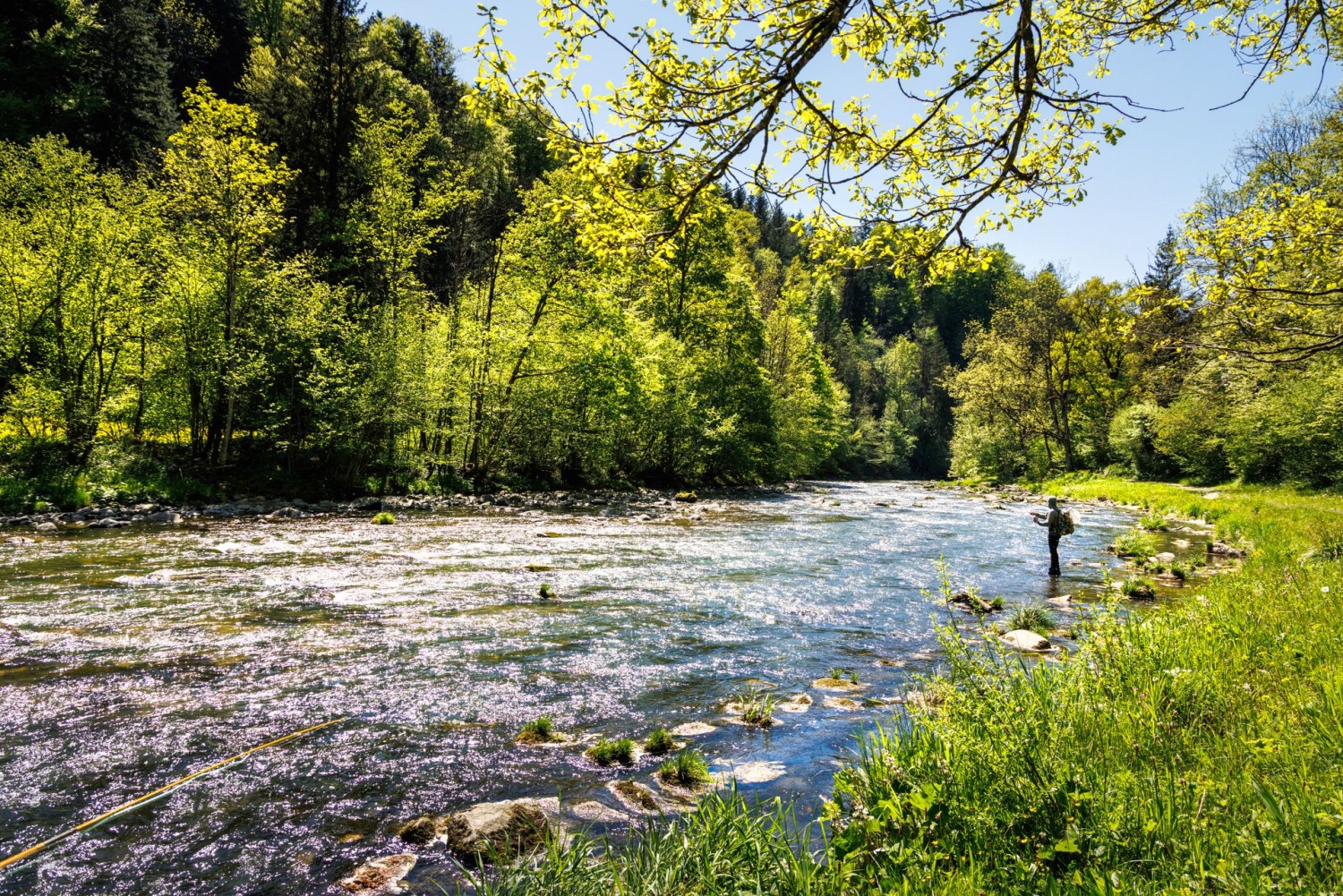Auch Fischer geniessen das Naturerlebnis an der Sihl, wie hier bei Sihlmatt.