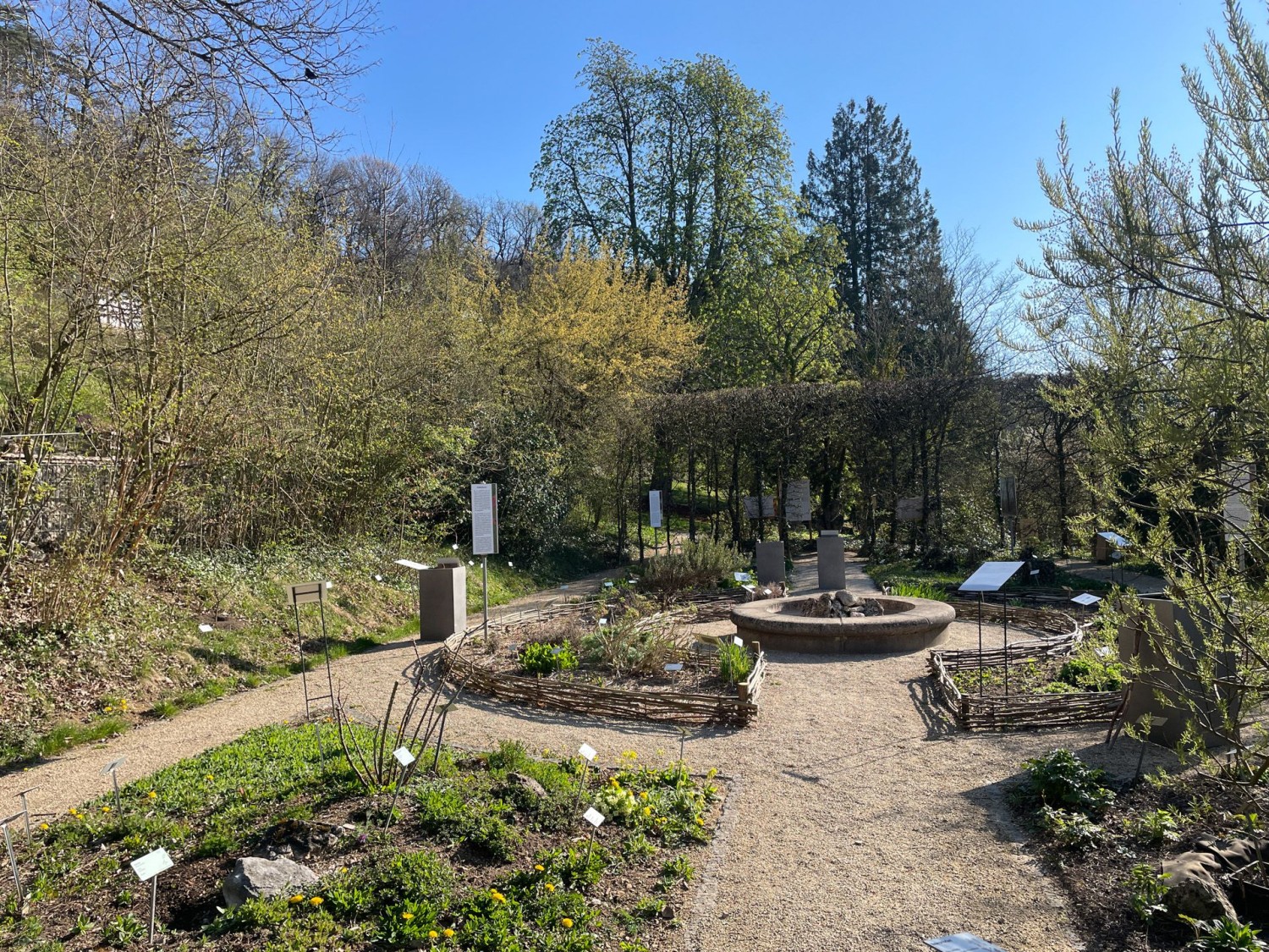 Es lohnt sich, für den botanischen Garten etwas Zeit einzuplanen.