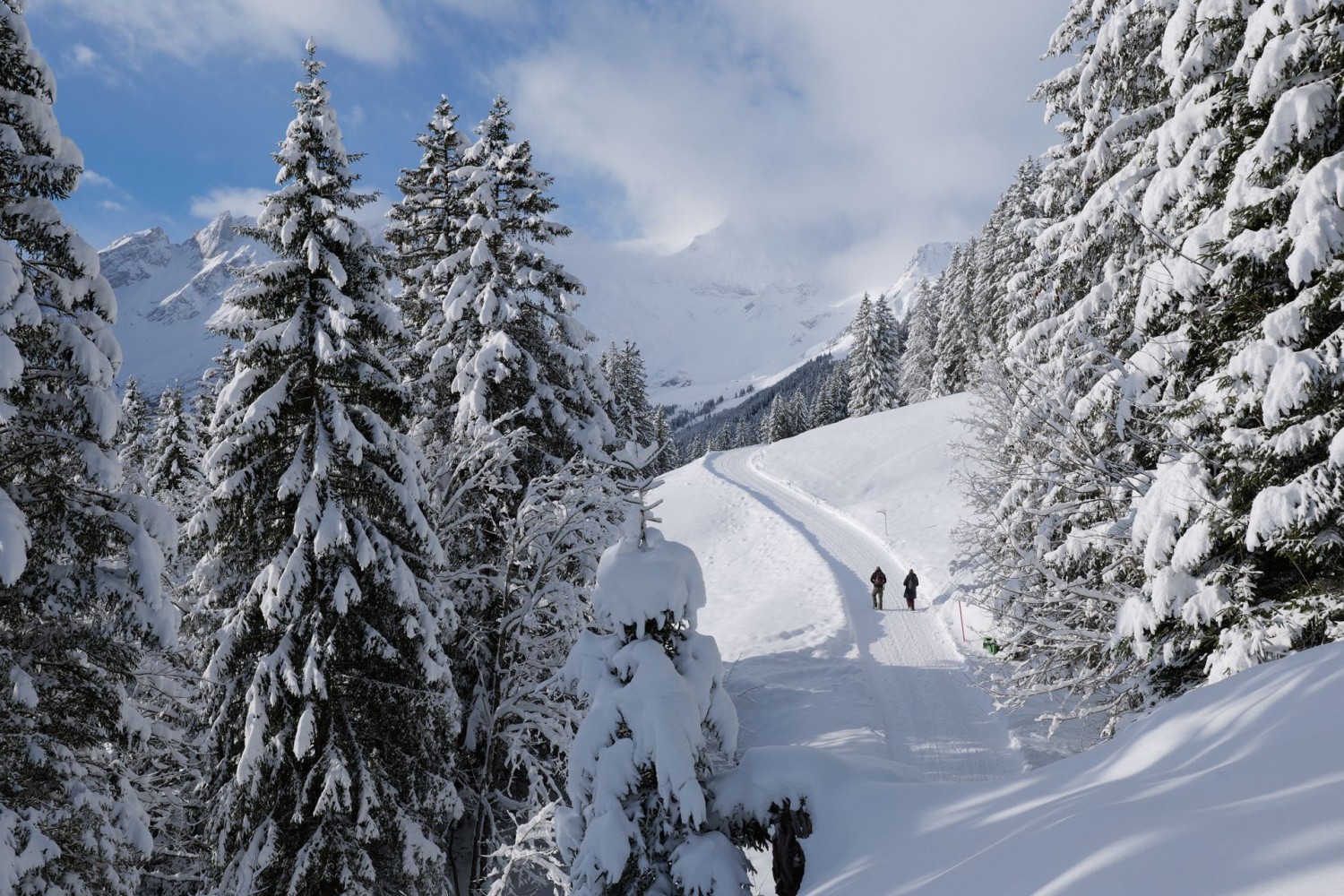 Gleich nach dem Start bei Ämpächli.