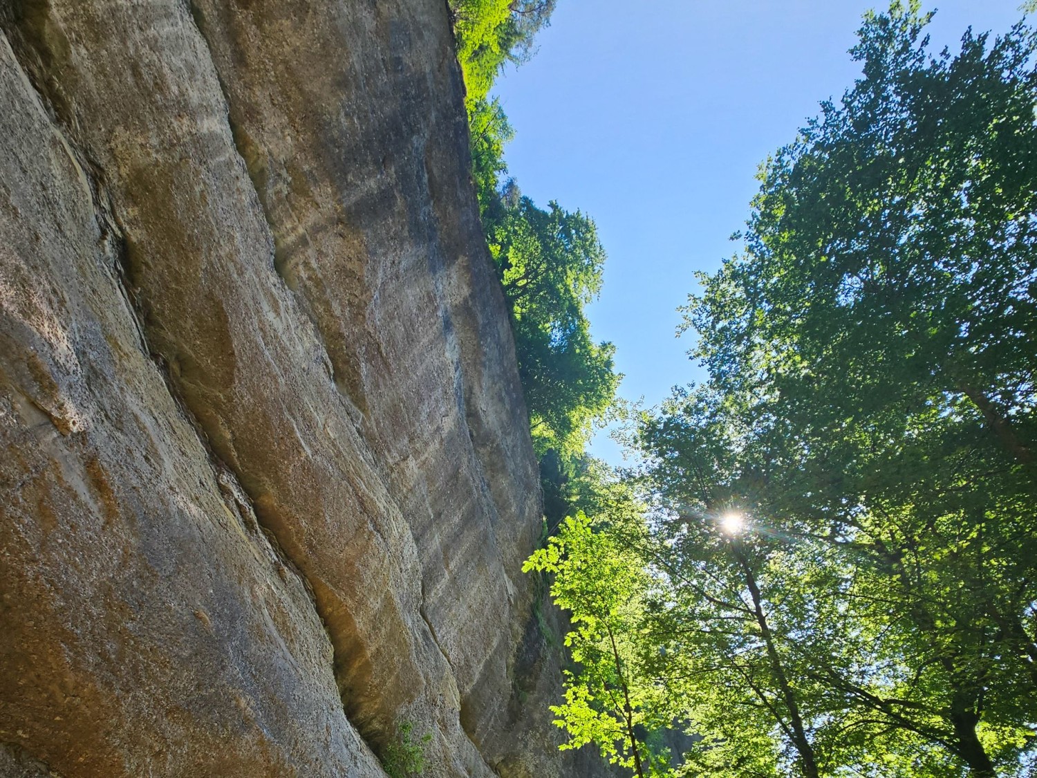 Une imposante paroi de nagelfluh en surplomb se situe au milieu des gorges.