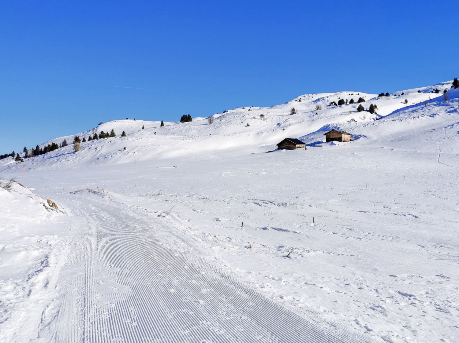 Sur l’alpage dil Plaun