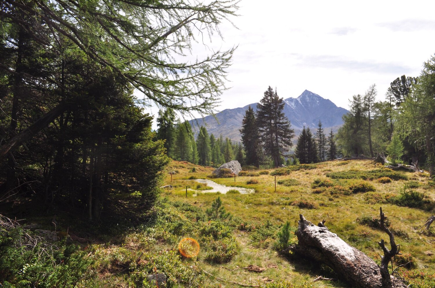 Offene Bergwiesen wechseln sich mit Moorflächen und lichten Waldpartien ab.