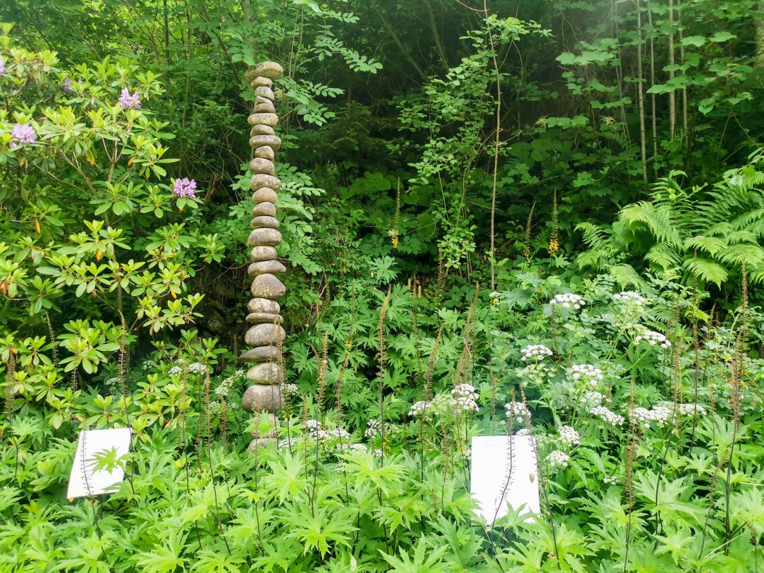 Nature et culture sur le chemin longeant la rivière Emme à Flühli