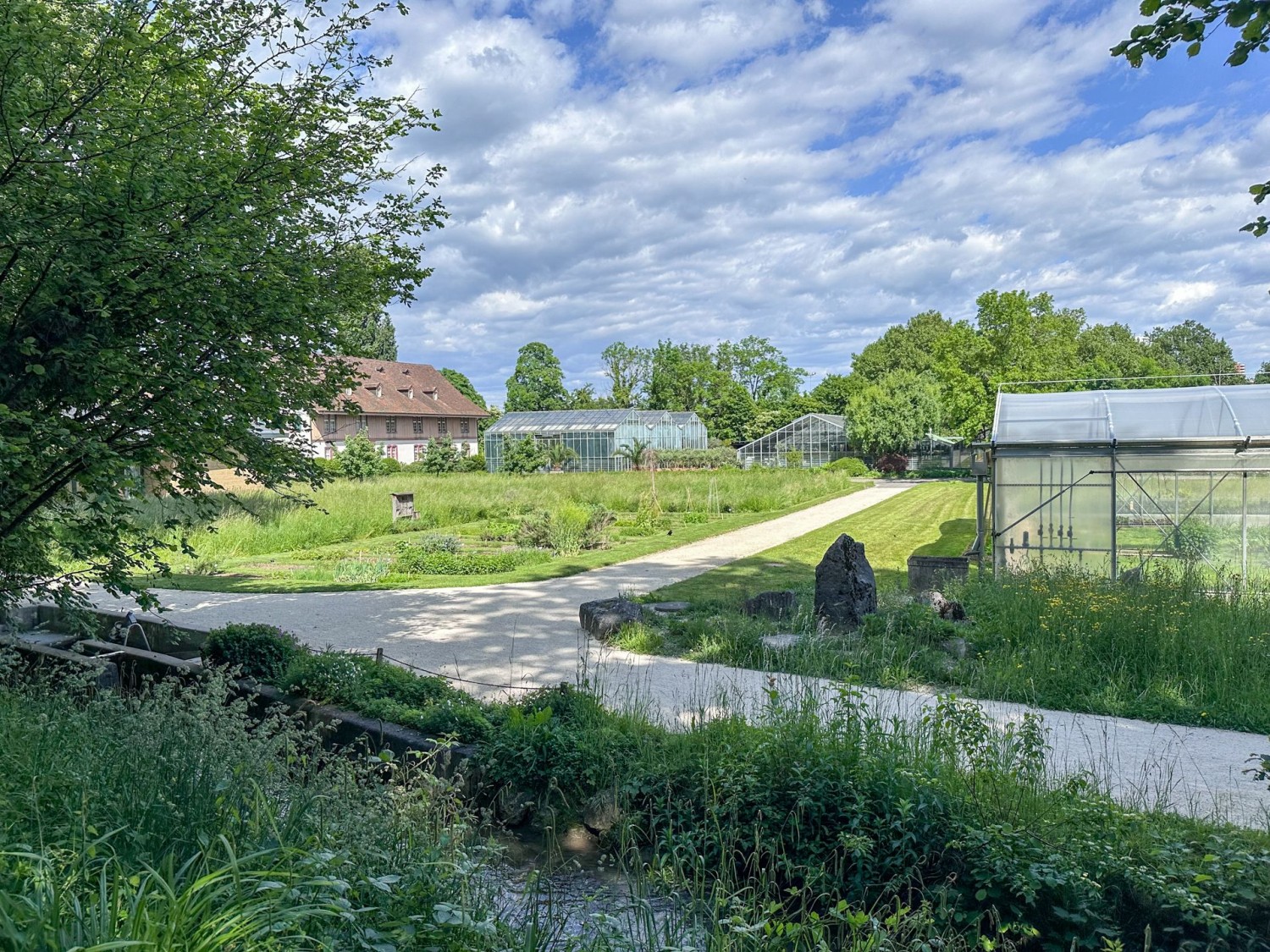 Coltivazione agricola presso la tenuta Brüglingerhof.