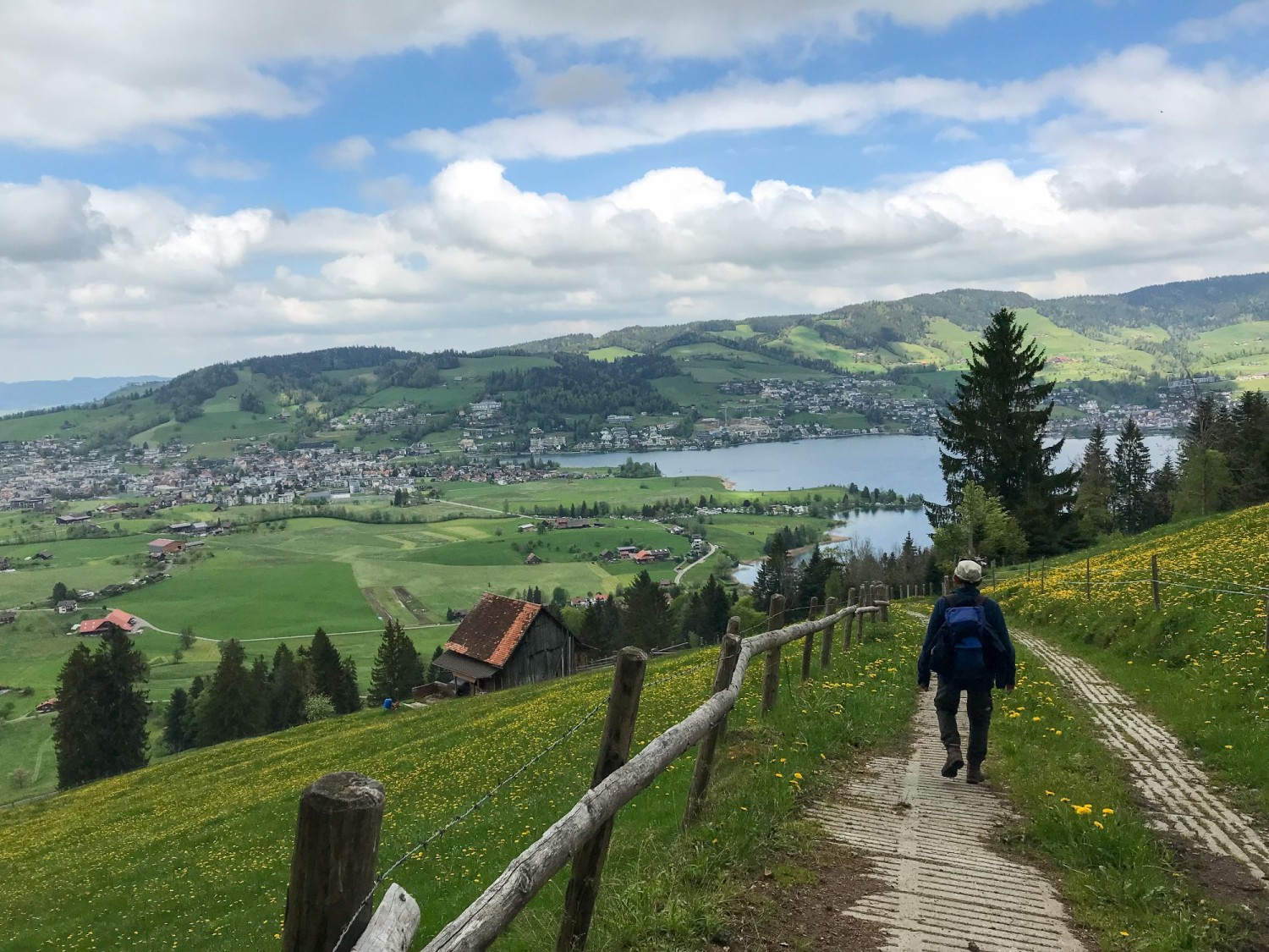 Saftige Wiesen und ein toller Blick auf das Ägerital.