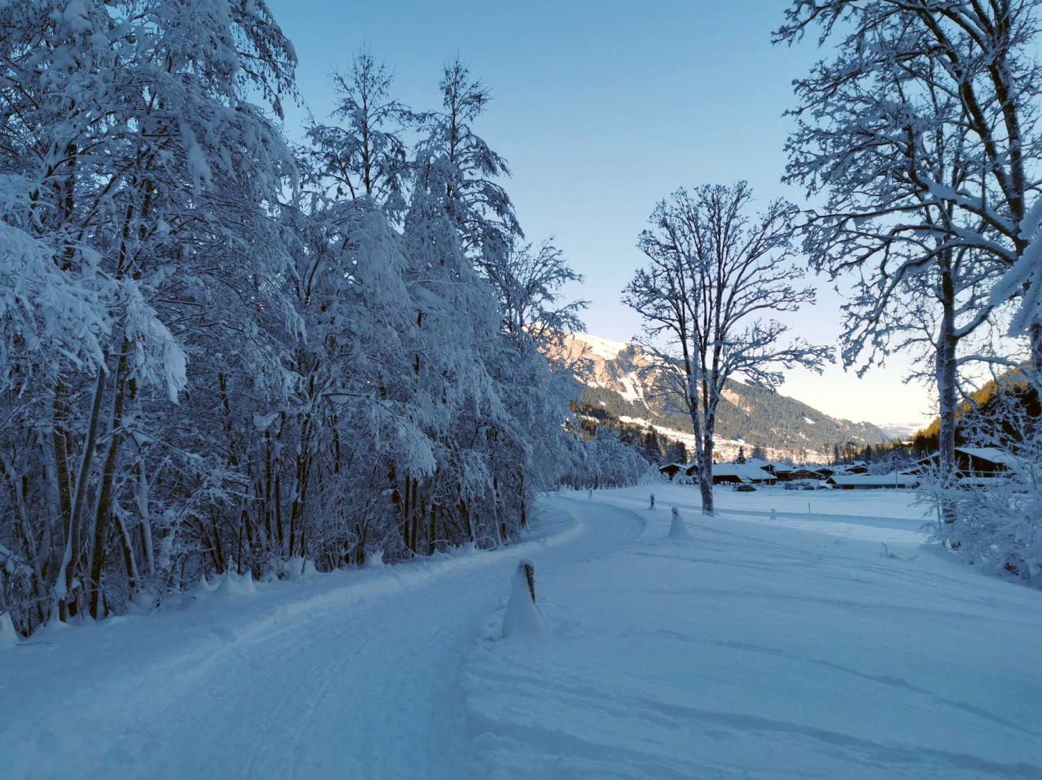 Sentier des berges de la Simme à proximité du restaurant Simmenfälle