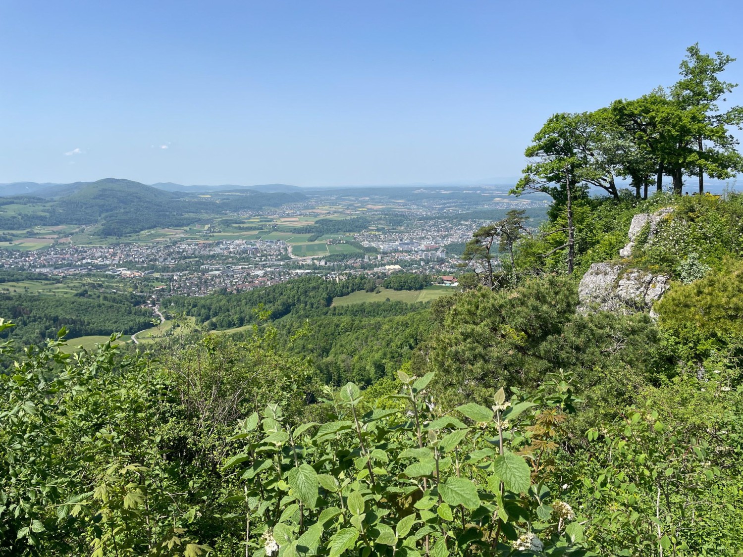 Von der Schartenflue hat man Weitsicht.